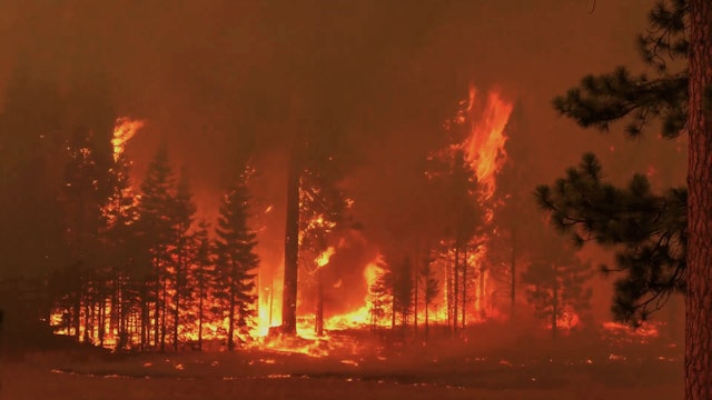 California Becomes Ground Zero for Wildfires 