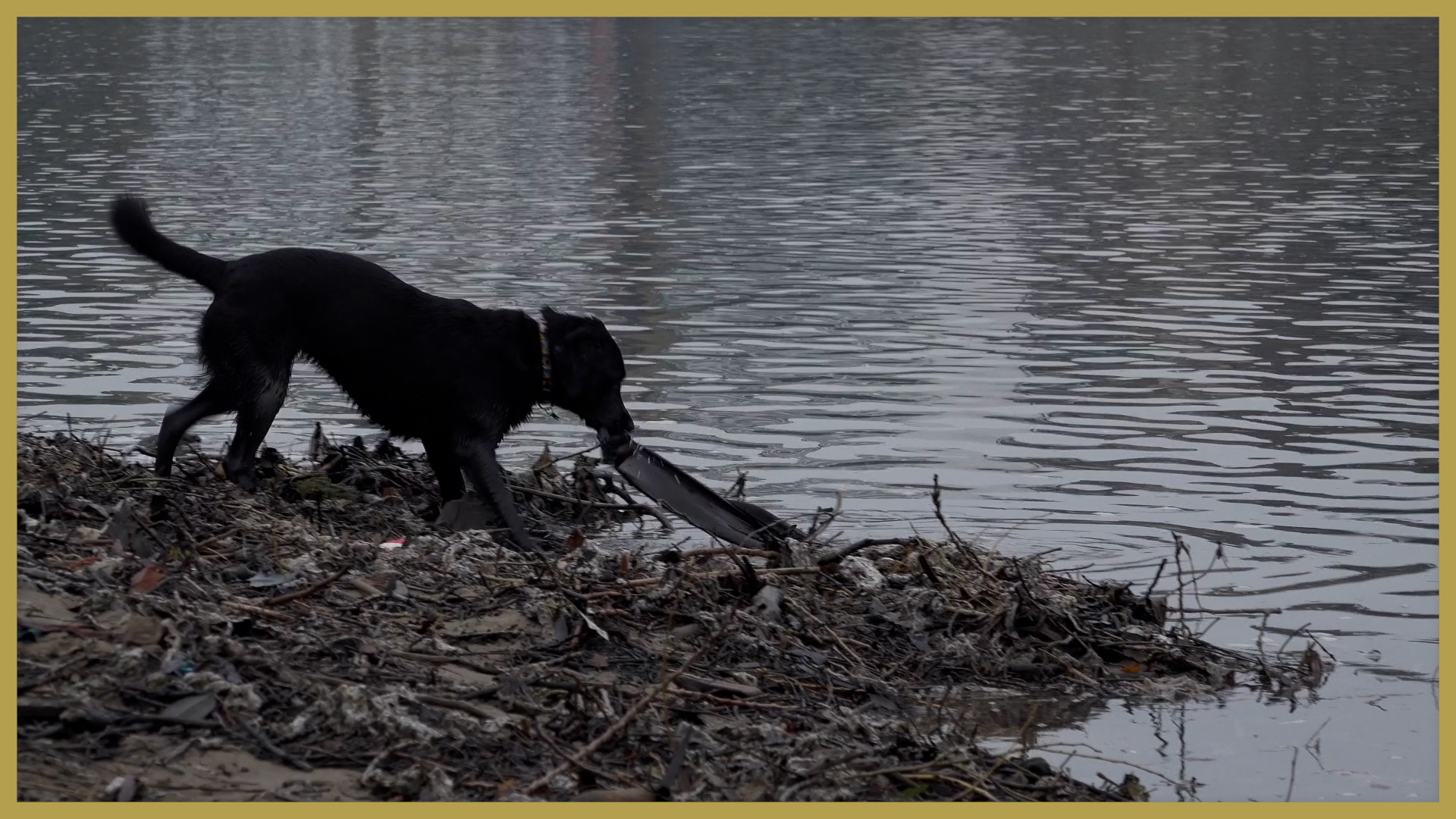 Report reveals widespread pollution in English rivers