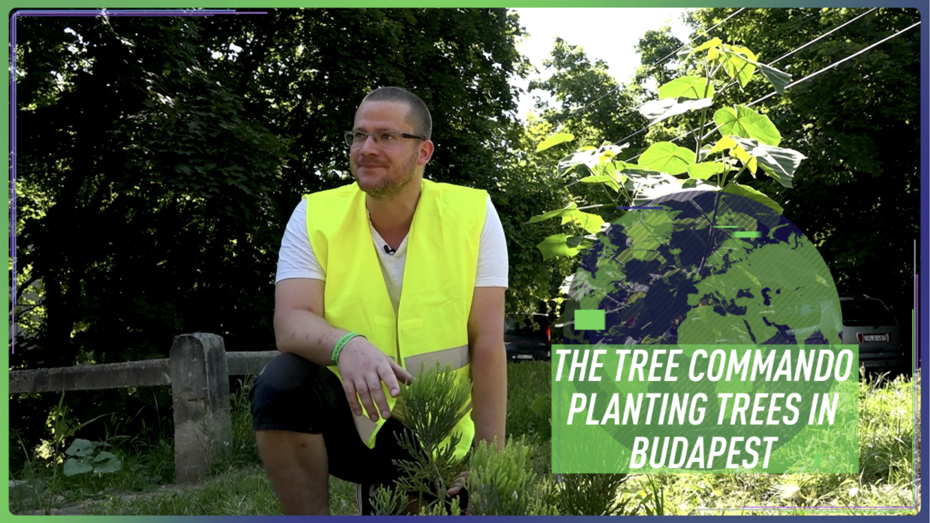The 'tree commando' planting trees in Budapest