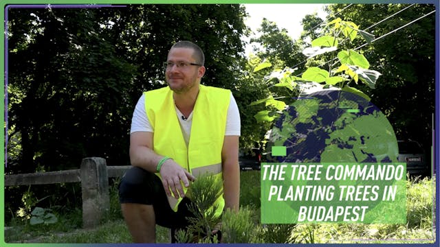 The 'tree commando' planting trees in...
