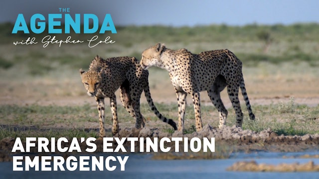 Africa's extinction emergency - The Agenda