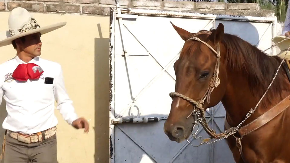Mexico’s cowboys preserve tradition