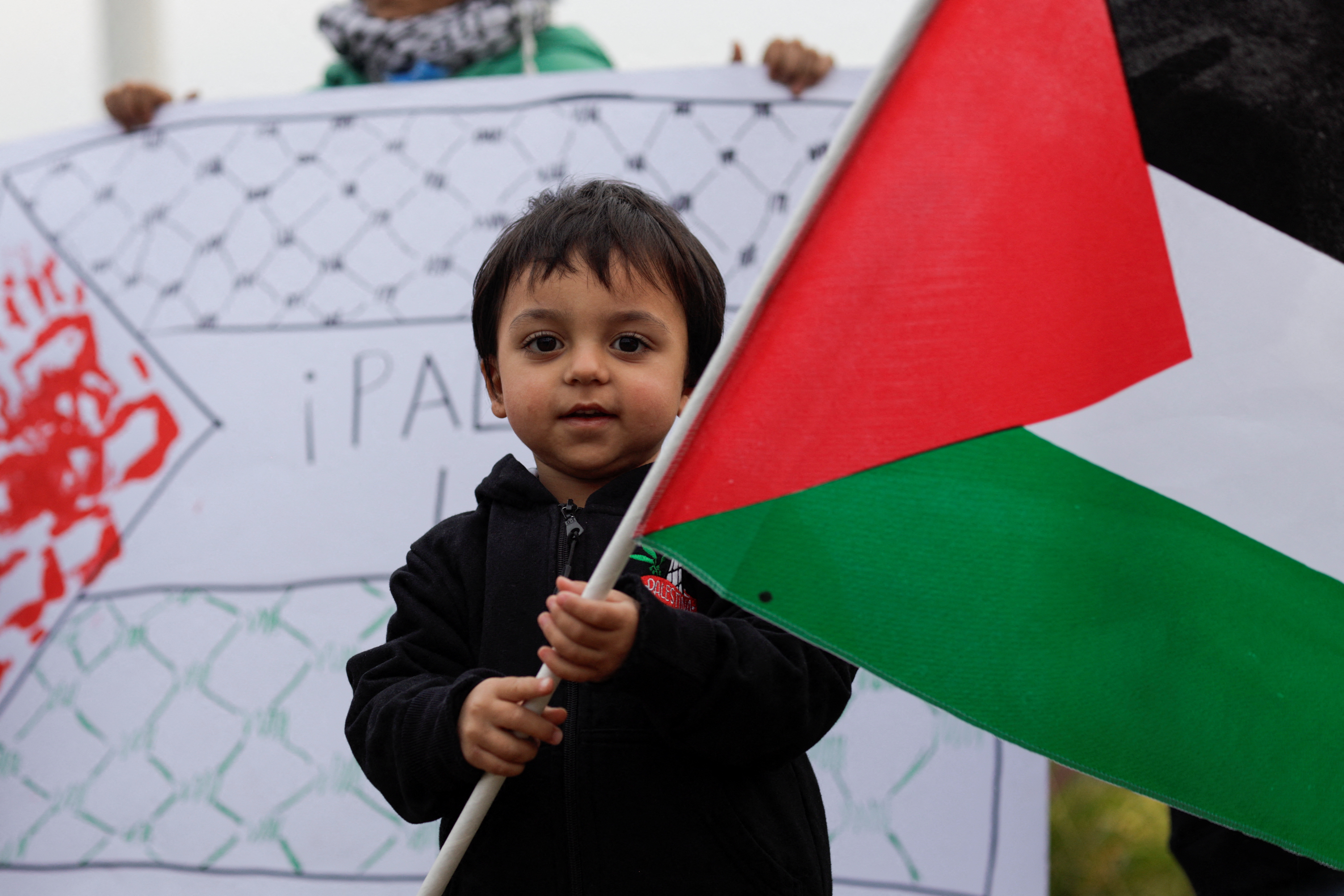Pro-Palestinian supporters in Brazil and Chile