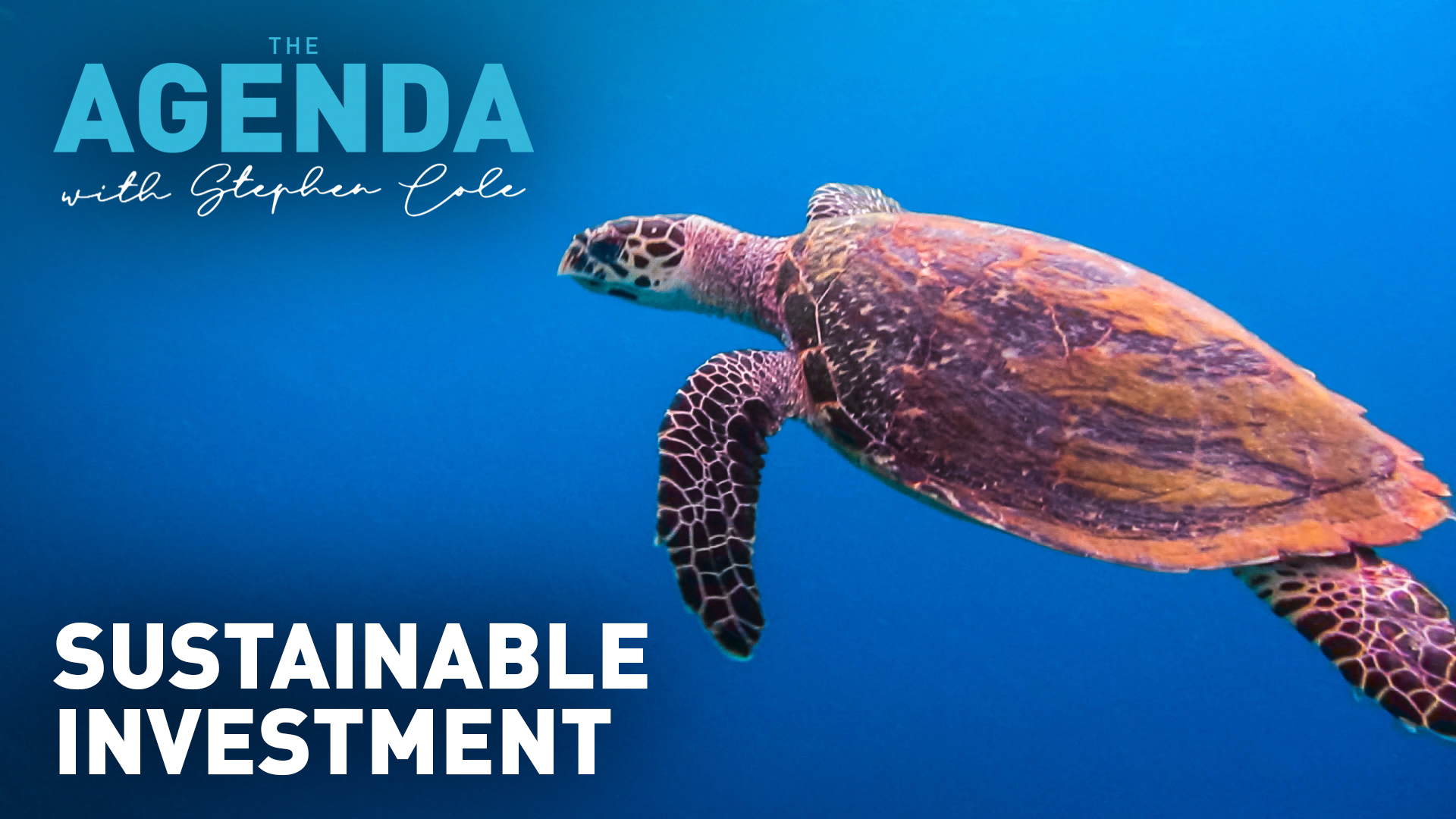 SUSTAINABLE INVESTMENT - #TheAgenda