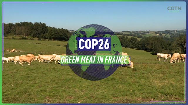 Green meat in France #COP26 
