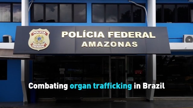 Combating organ trafficking in Brazil
