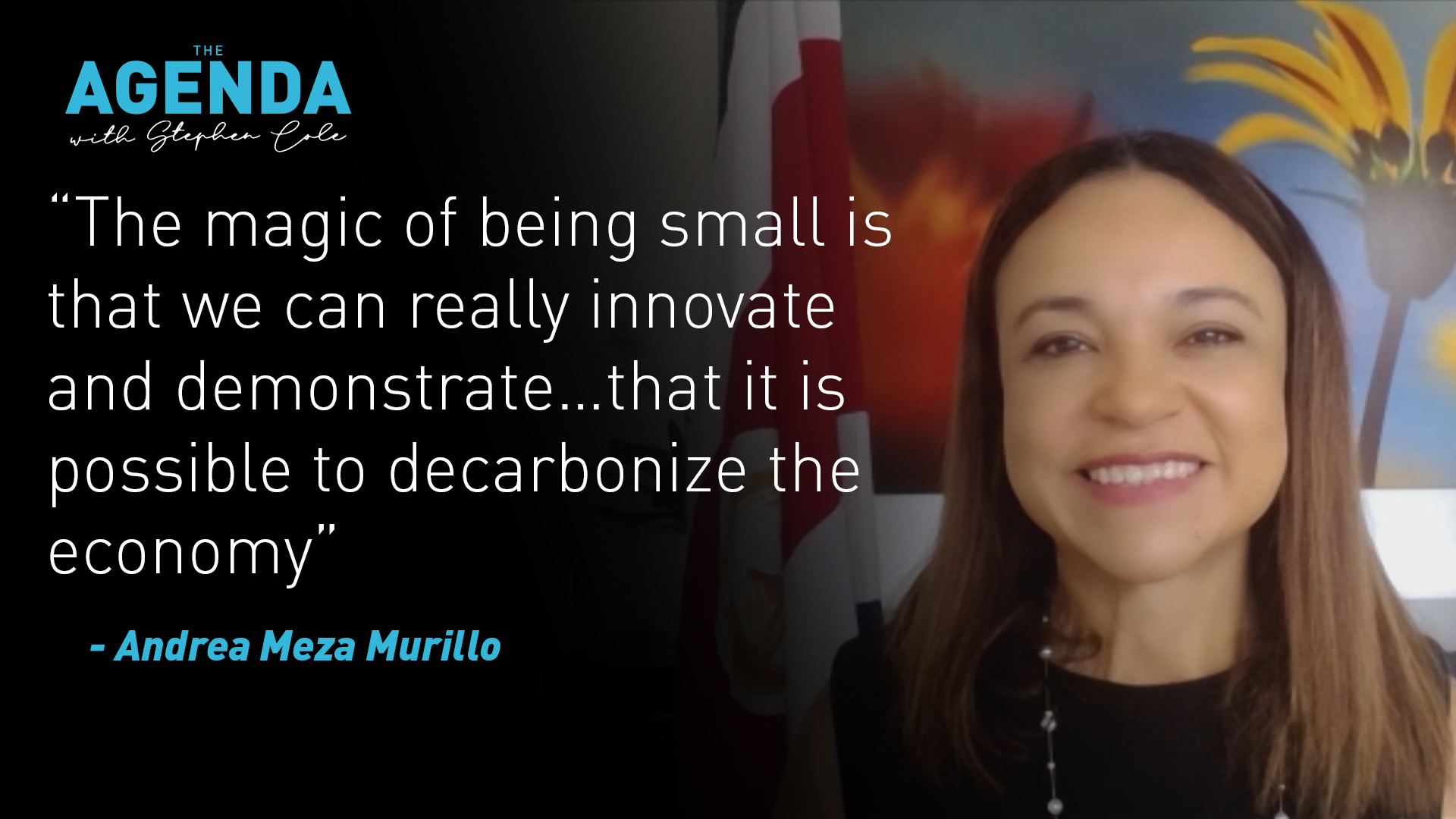 Denmark and Costa Rica’s pact for the planet - The Agenda with Stephen Cole