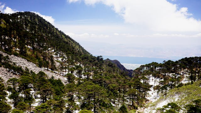 Balance: Biodiversity in China