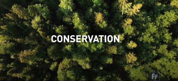 Full Frame: Conservation