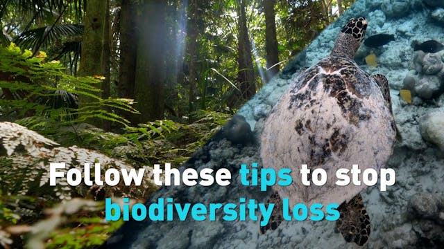 Steps to halt biodiversity loss
