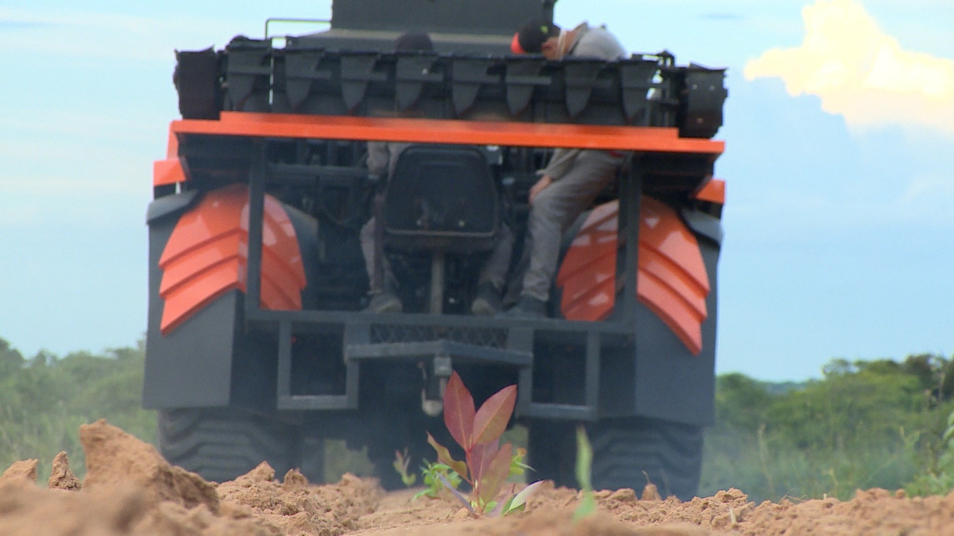 Mechatronic Reforestation could be a Weapon to Fight Climate Change 
