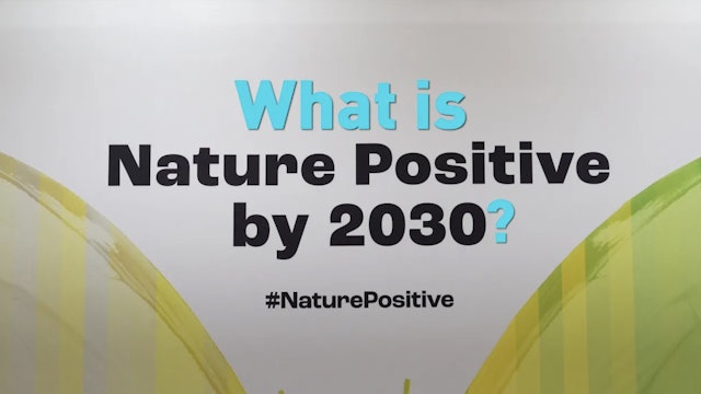 Is "Nature Positive" a way to heal Earth?