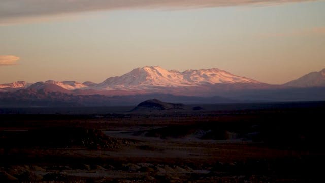 Chile's Atacama Desert Transformed in...
