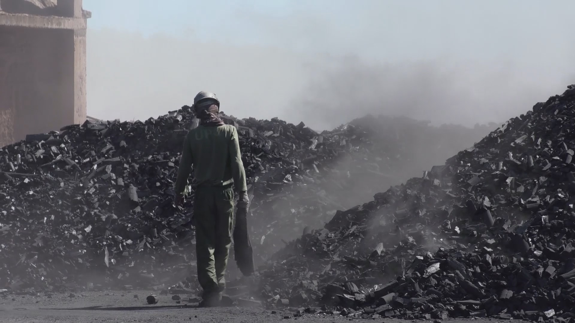 Brazil's domestic demand for charcoal