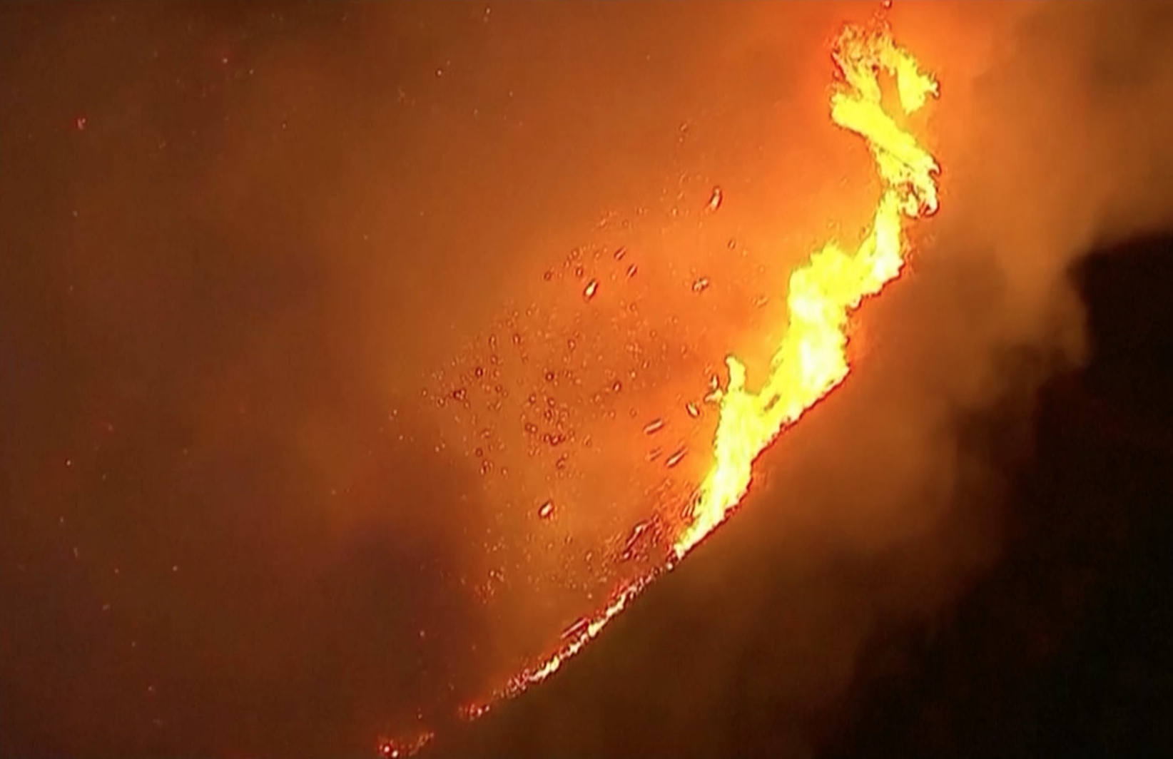 Fighting climate change through policies