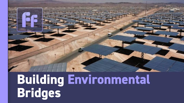 Full Frame: Building Environmental Br...