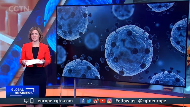 The next pandemic hinges on 'the relationship between humans and animals'