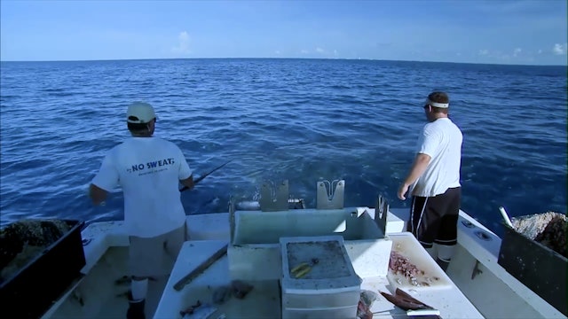 Commercial fishing faces a crisis in Florida