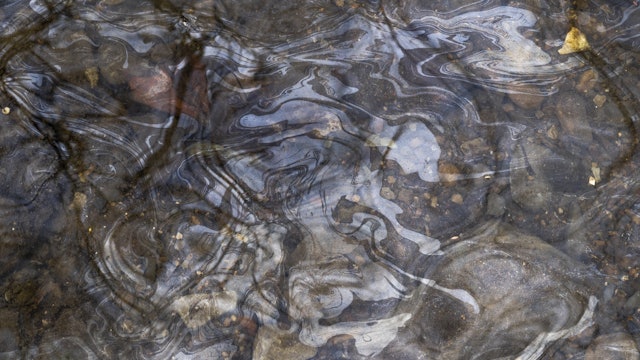 How dirty is the water? We tested it