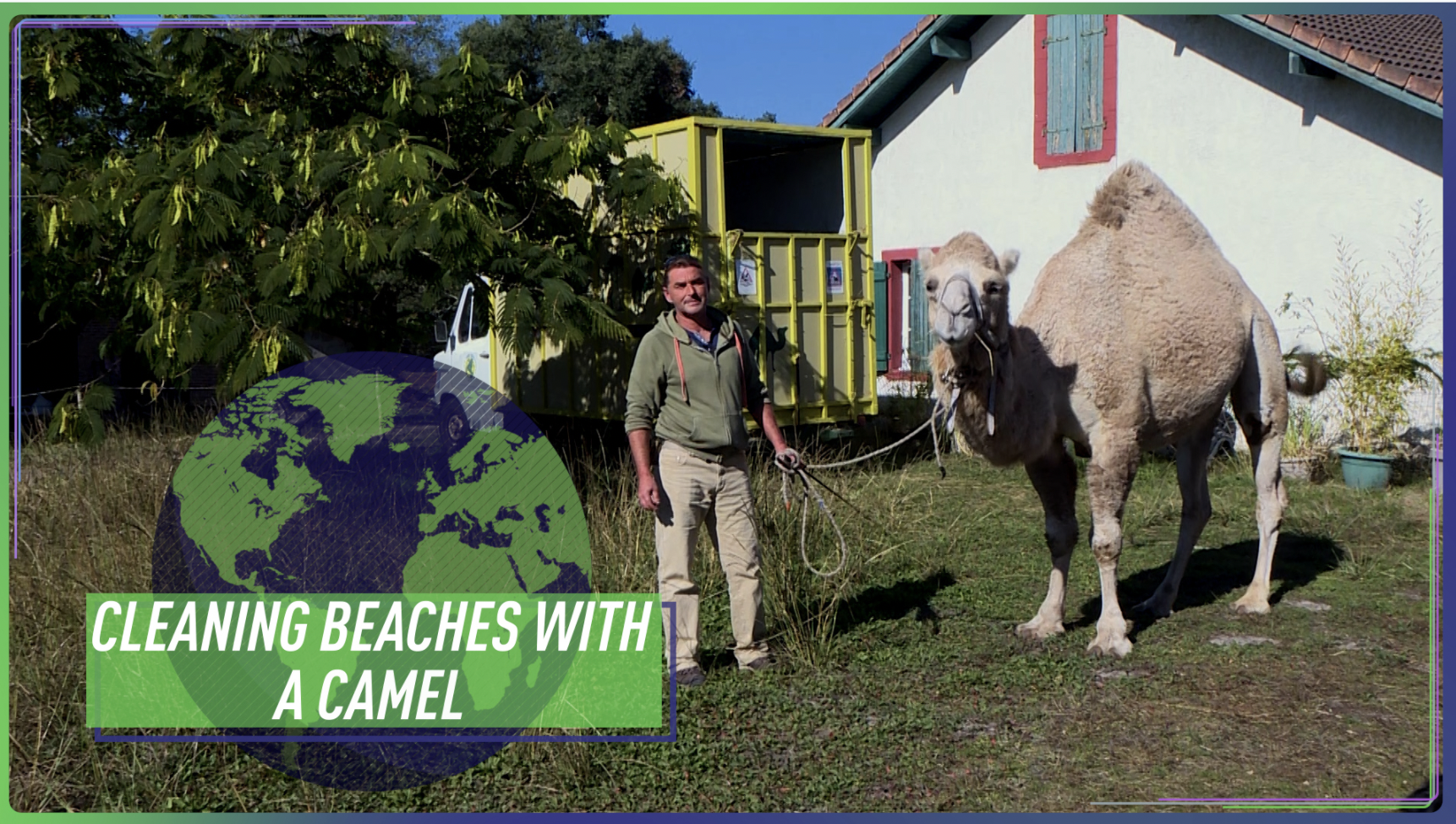 Climate Icons: Cleaning beaches with a camel