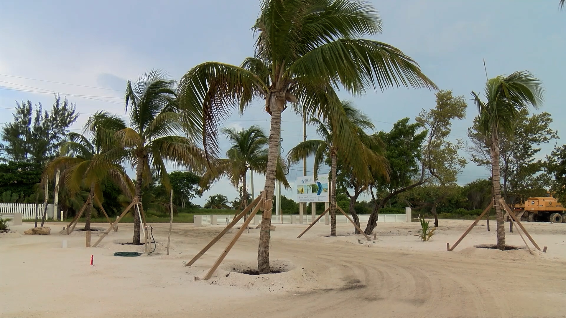 Belize Real Estate Boom 