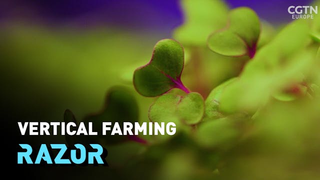 #RAZOR: Vertical farming