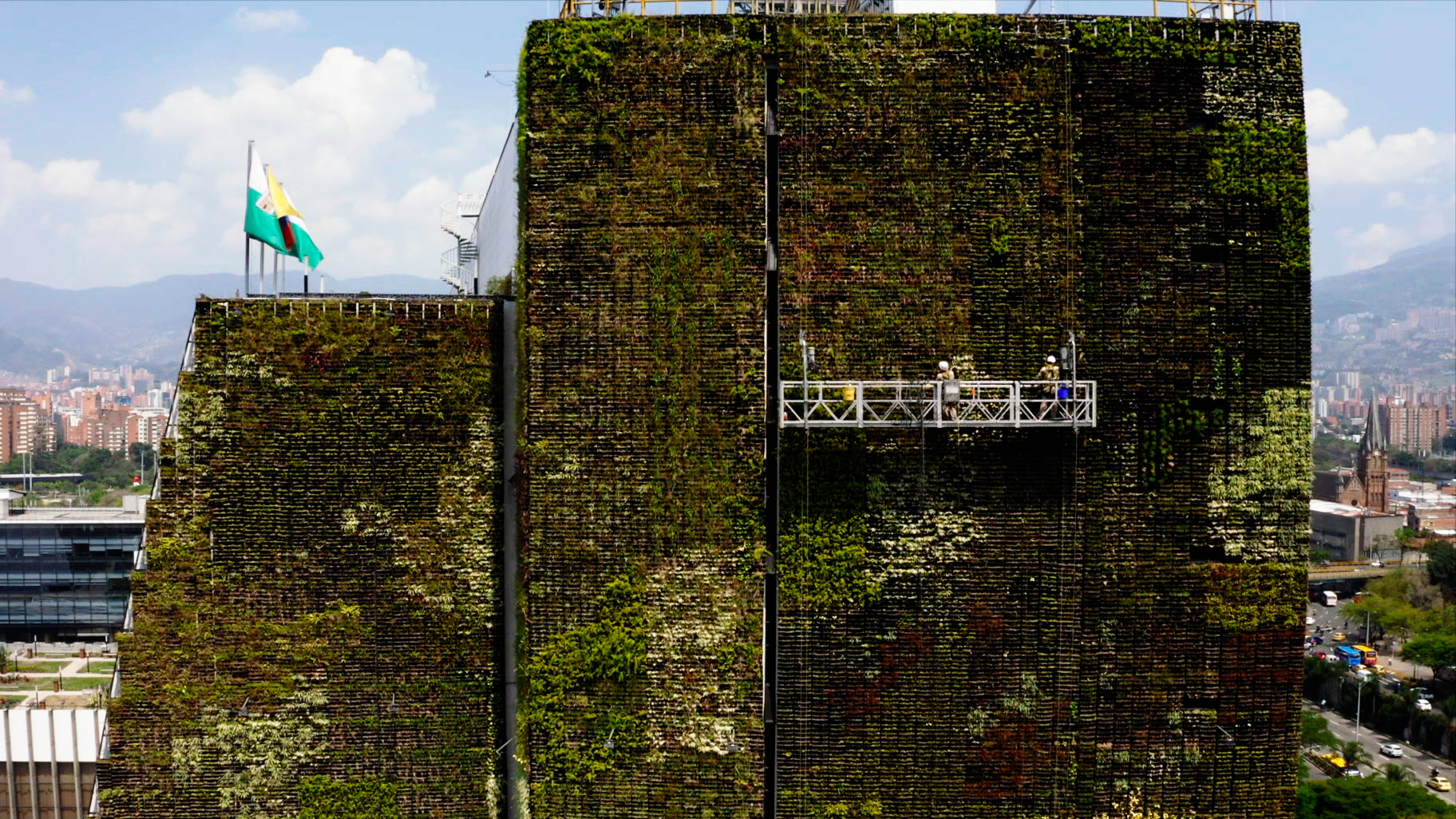 This Week on Americas Now: Medellin Green Revolution