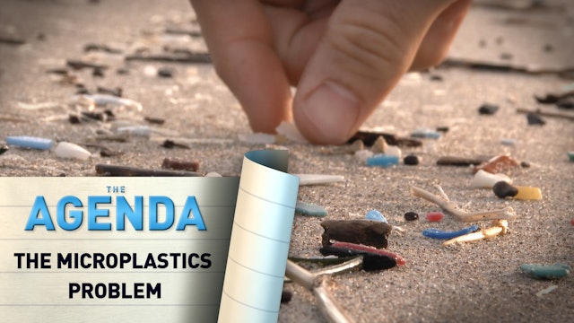 The microplastics problem #TheAgenda