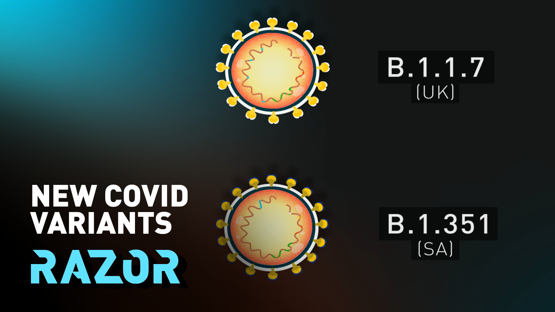 Explaining the COVID-19 variants – and the possible solutions