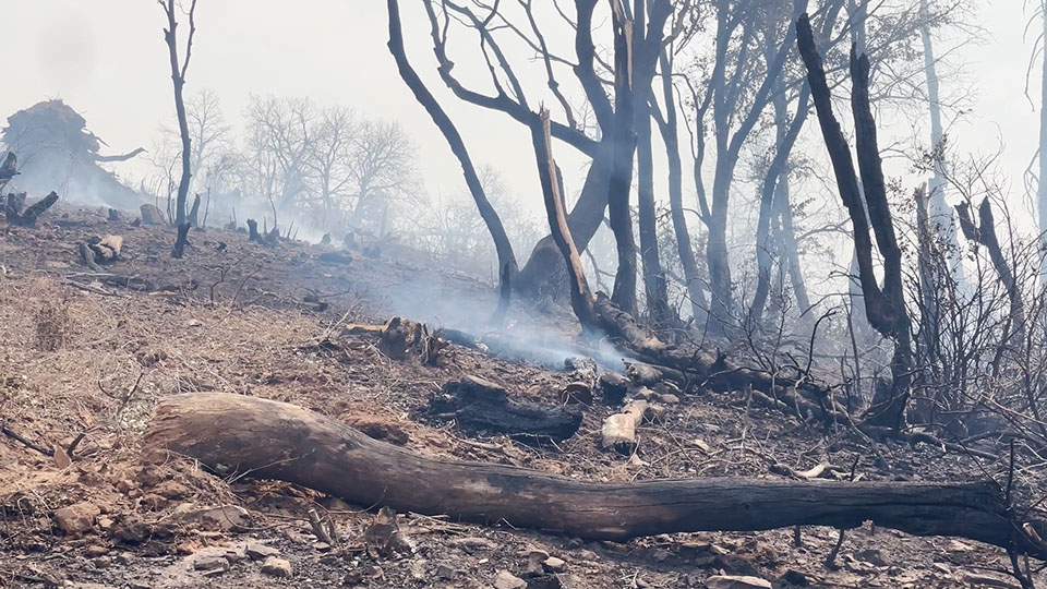 California residents preparing for fire season