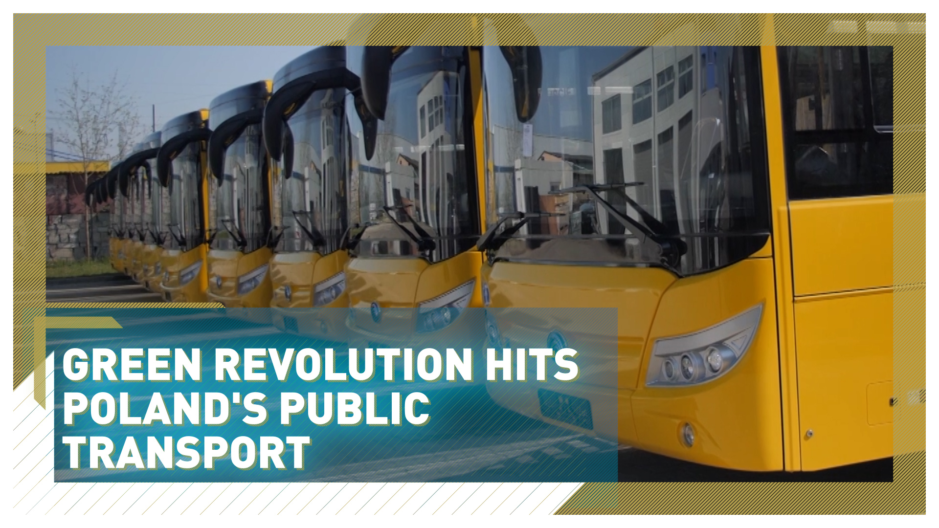 Green revolution hits Poland's public transport