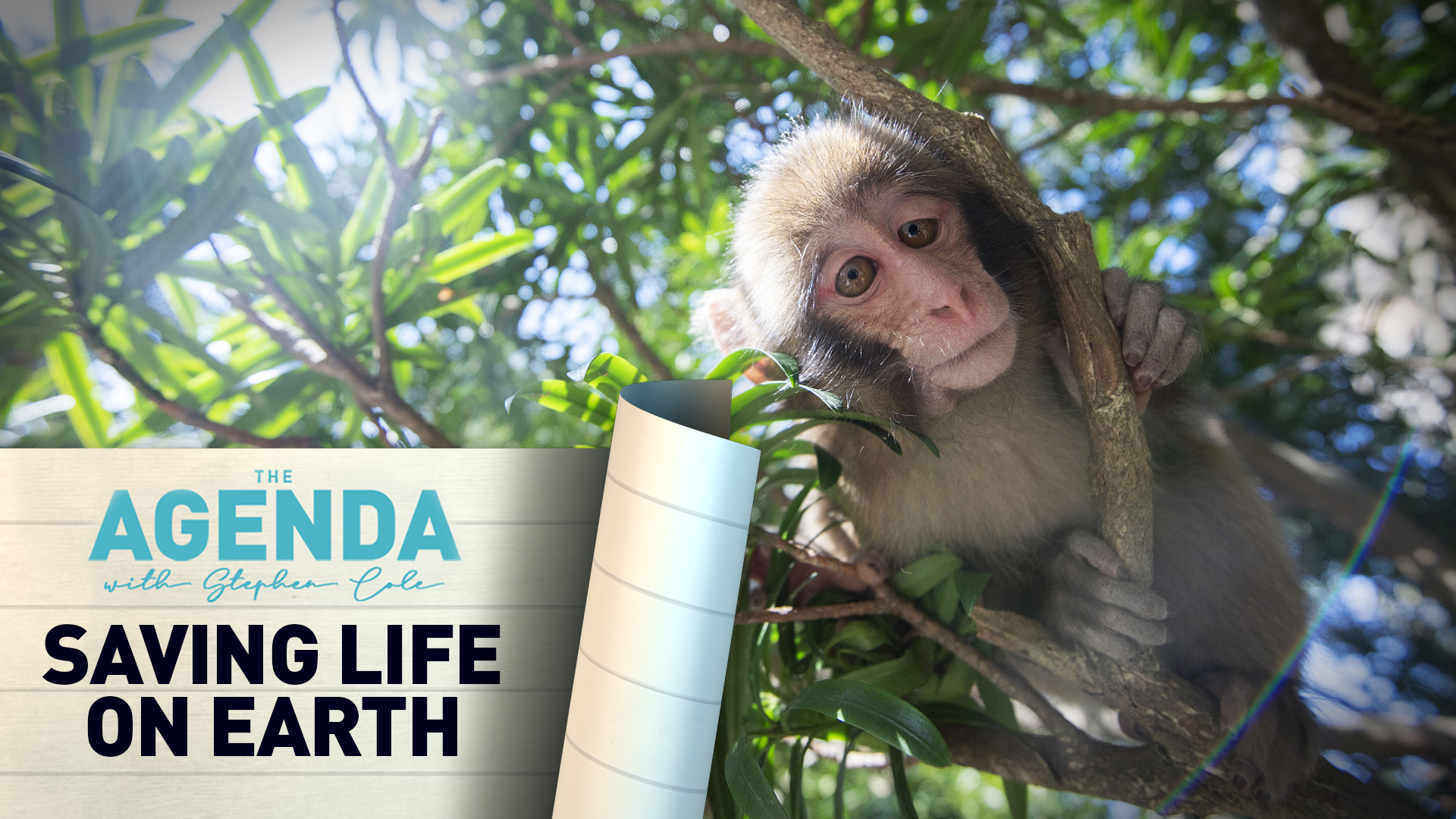 Saving life on Earth: The Agenda with Stephen Cole 