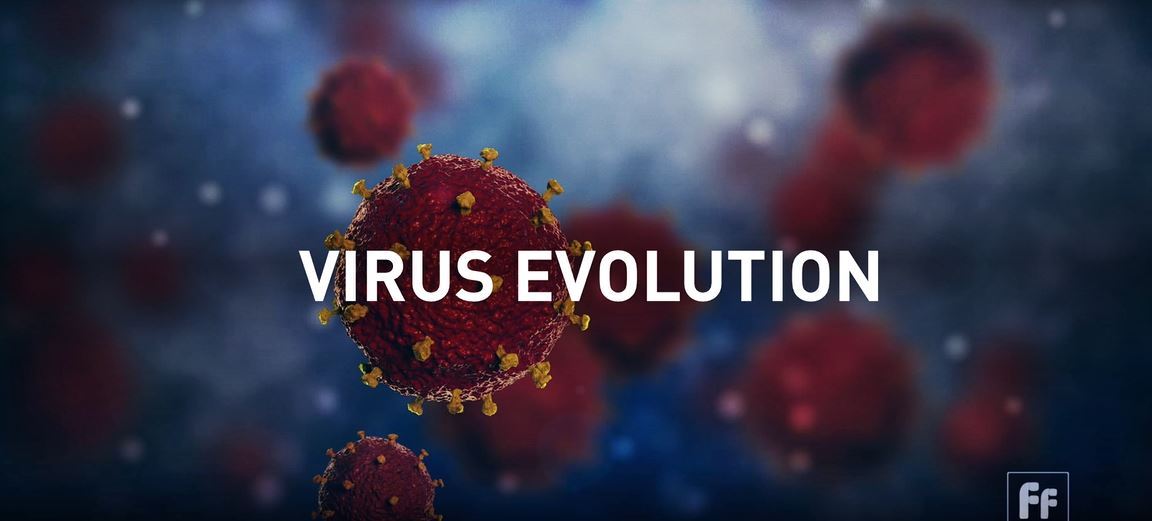 Virus Evolution with Dr. Jonna Mazet & Dr. Jeremy Brown