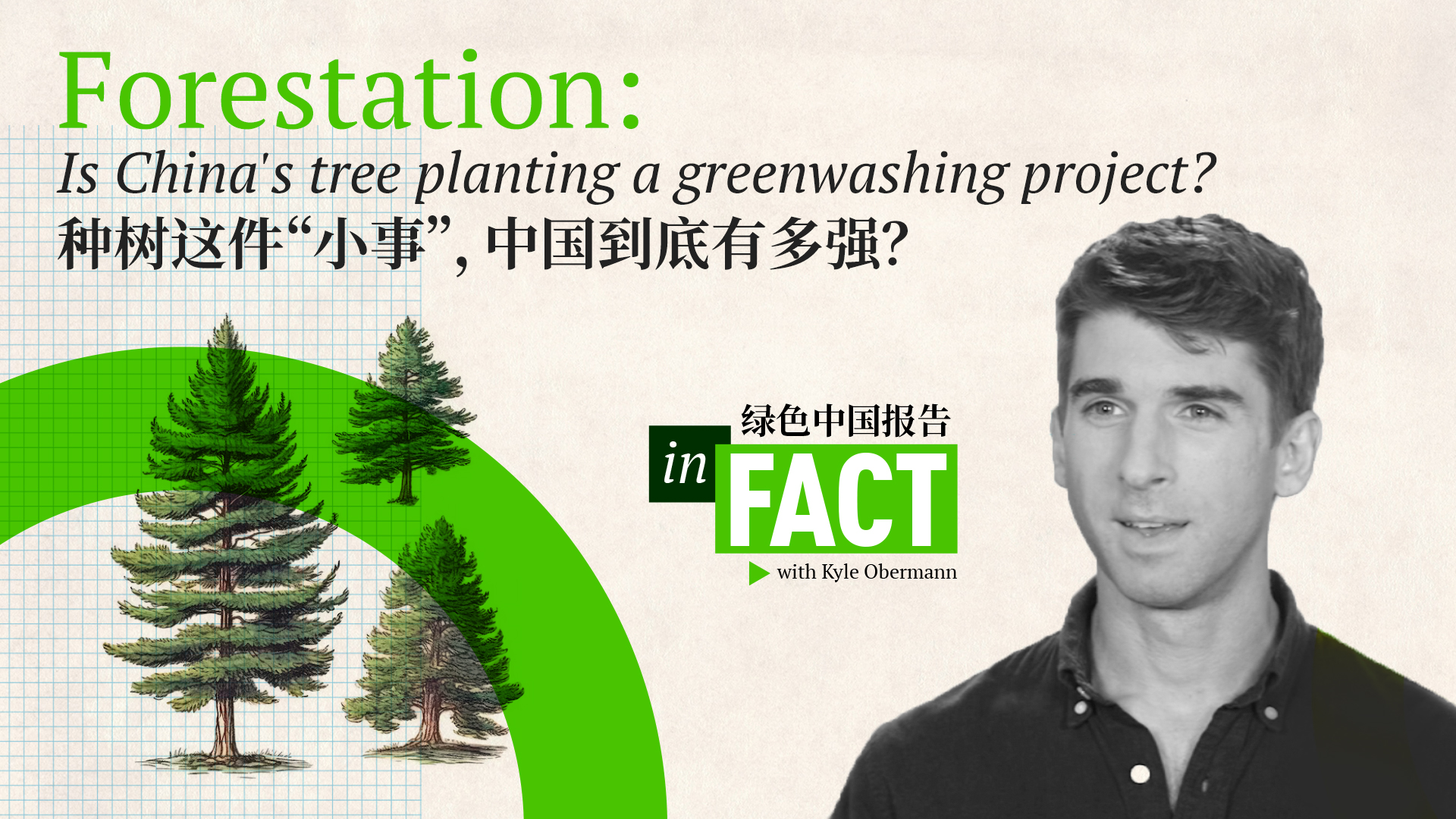 In Fact: Is China's reforestation a giant greenwashing project?