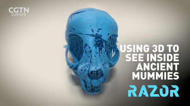 #RAZOR: Using 3D to see inside mummies
