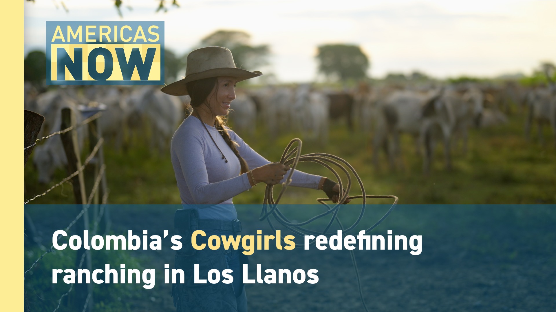 This Week on Americas Now: Meet Colombia’s Cowgirls