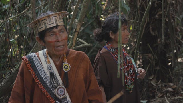 Indigenous in Peru fear COVID-19 pand...