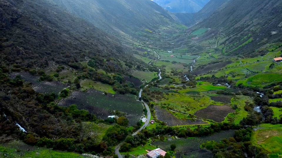 Deforestation in Venezuela's national park