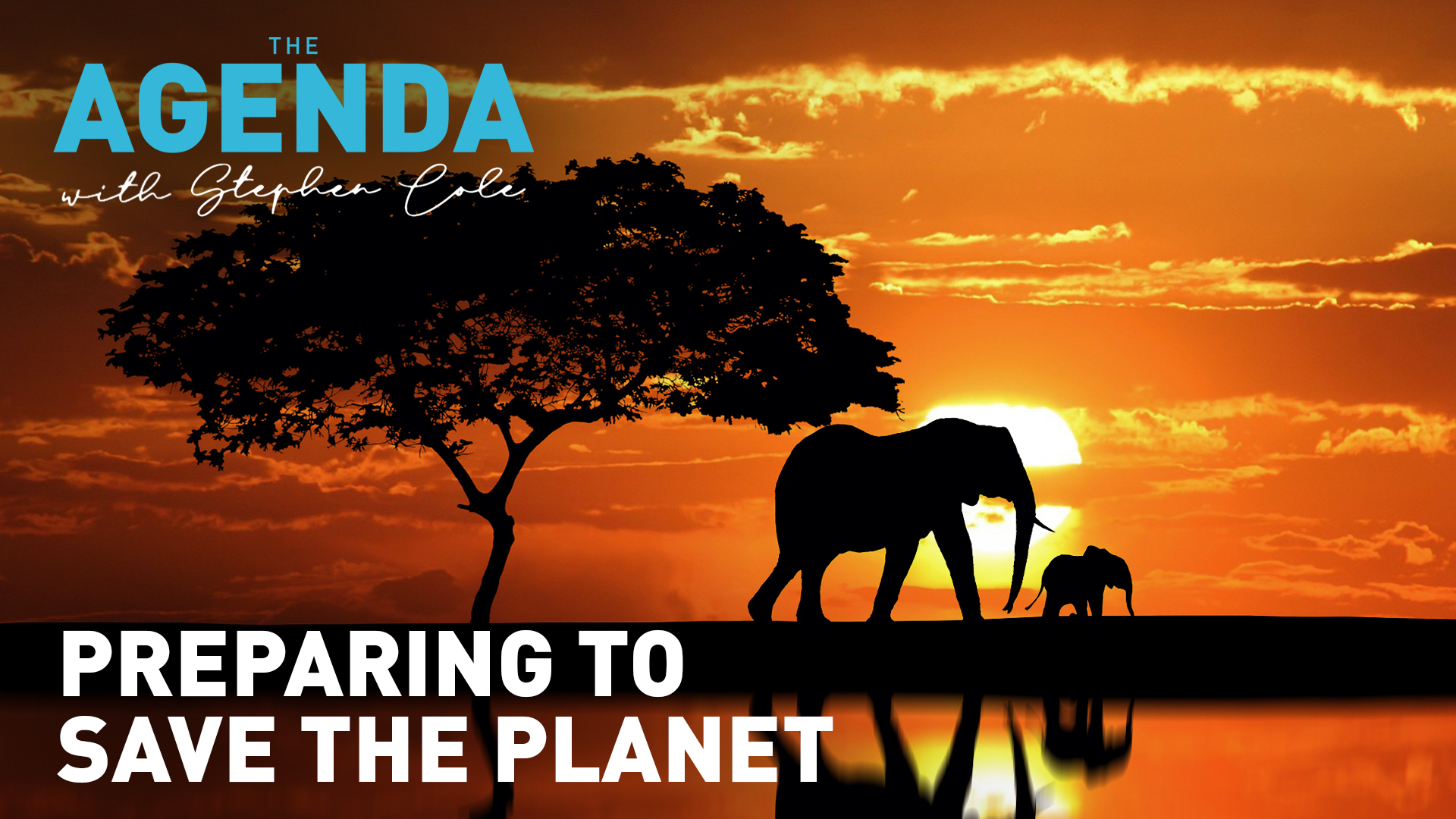Preparing to save the planet: The Agenda 