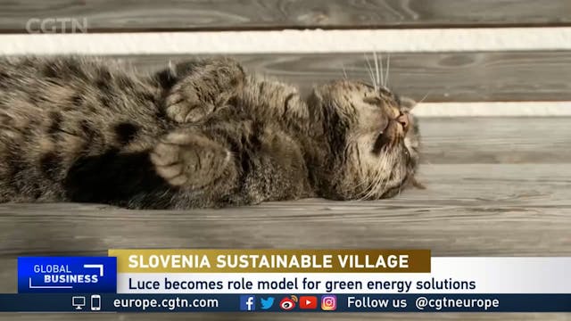 Slovenian village goes self-sufficien...