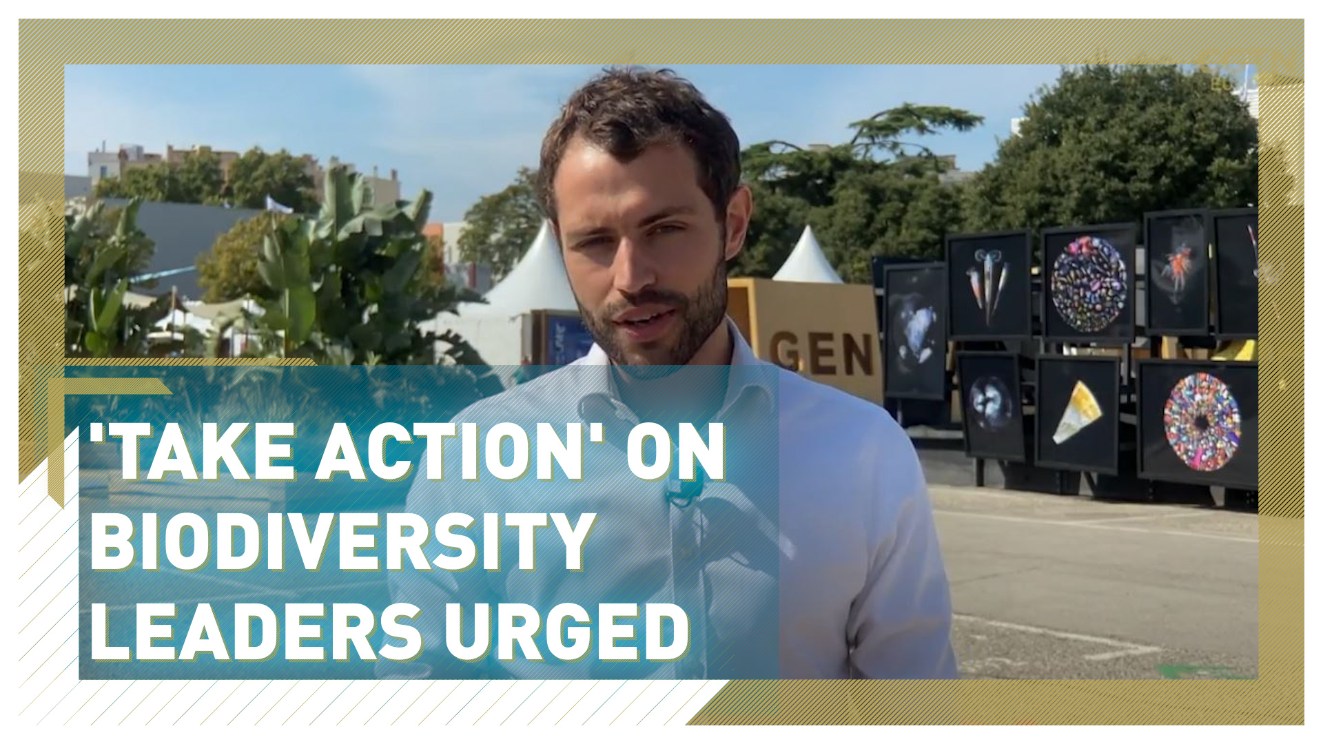 Economic development the main challenge for biodiversity, says expert