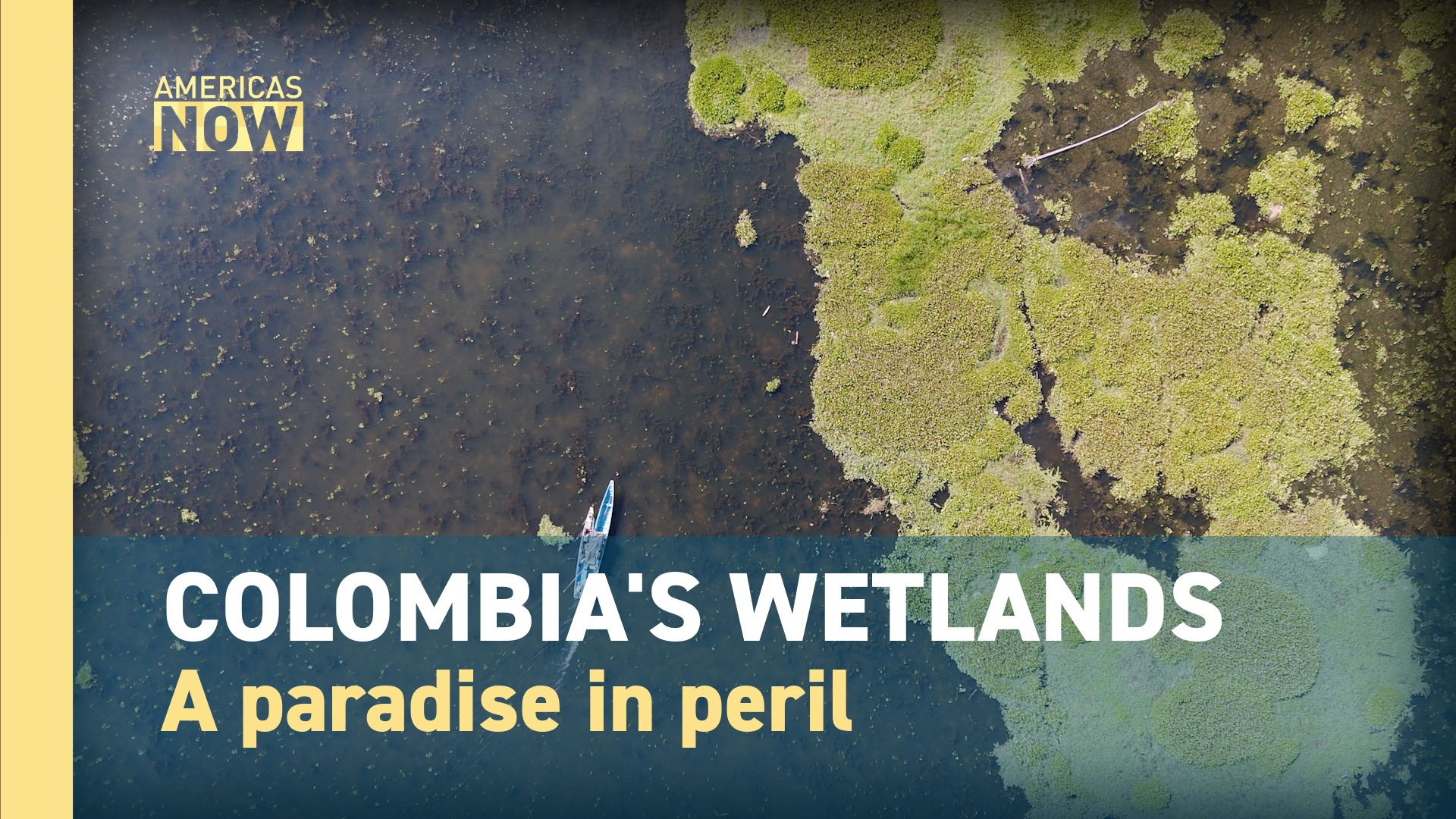 This Week on Americas Now: Colombia's vanishing wetlands