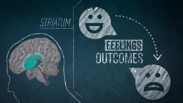 Addiction explained - #TheAgenda with...