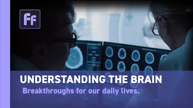Full Frame: Understanding the Brain