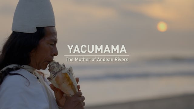 Yacumama: the Mother of All Rivers