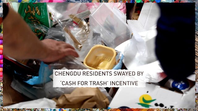 Cash for trash: China's recycling inc...