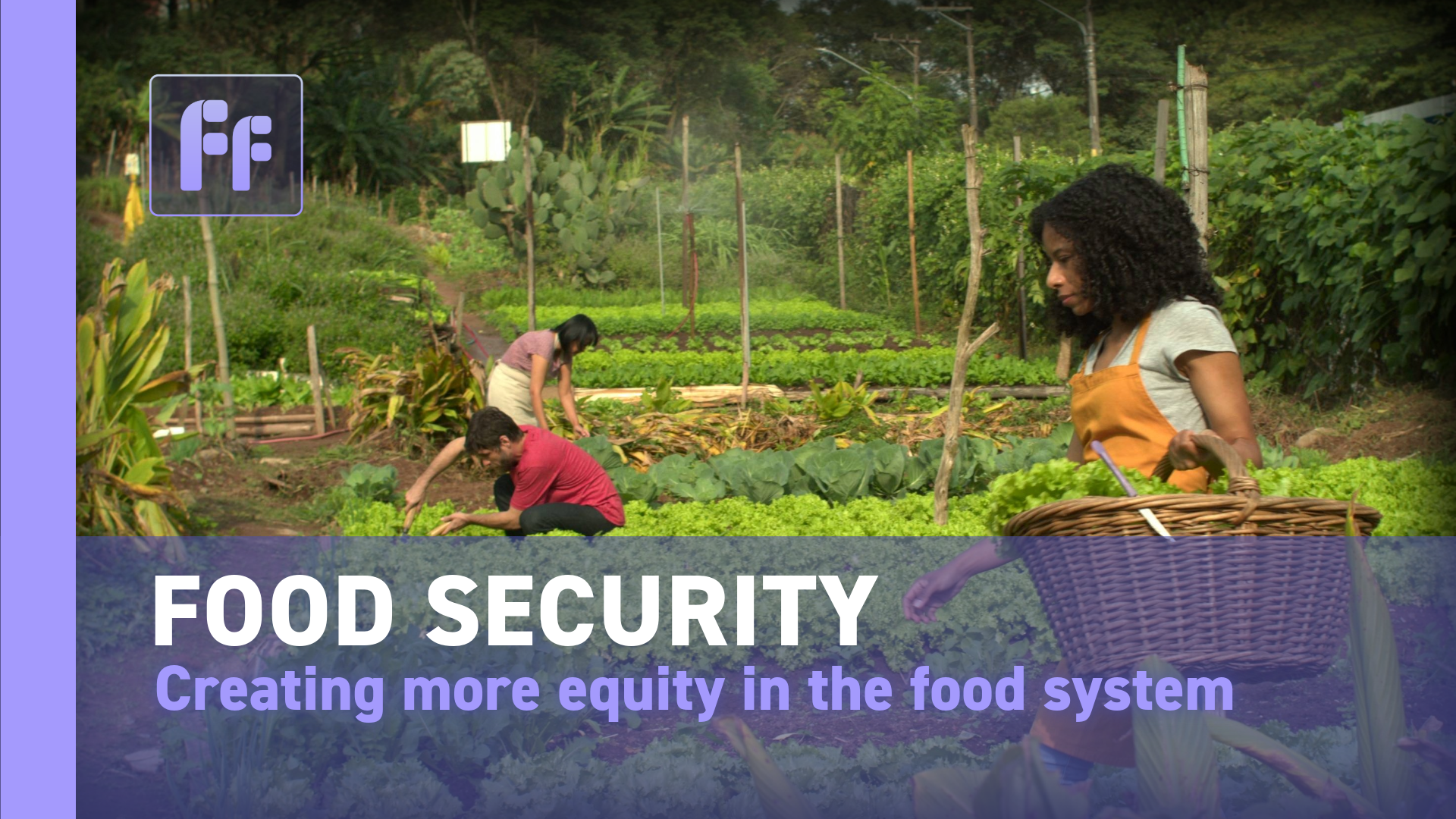 Full Frame: Food Security