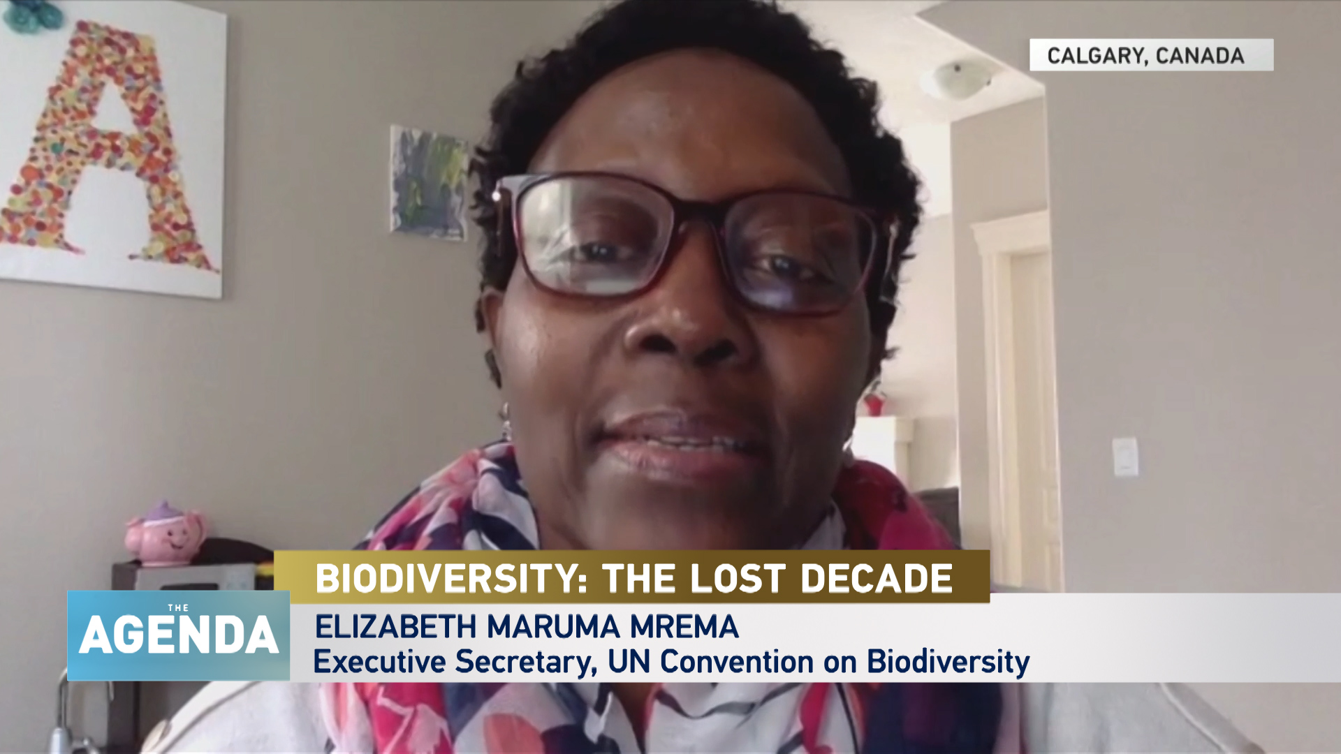 ‘Lessons have been learned since Aichi’ - Elizabeth Maruma Mrema - The Agenda 