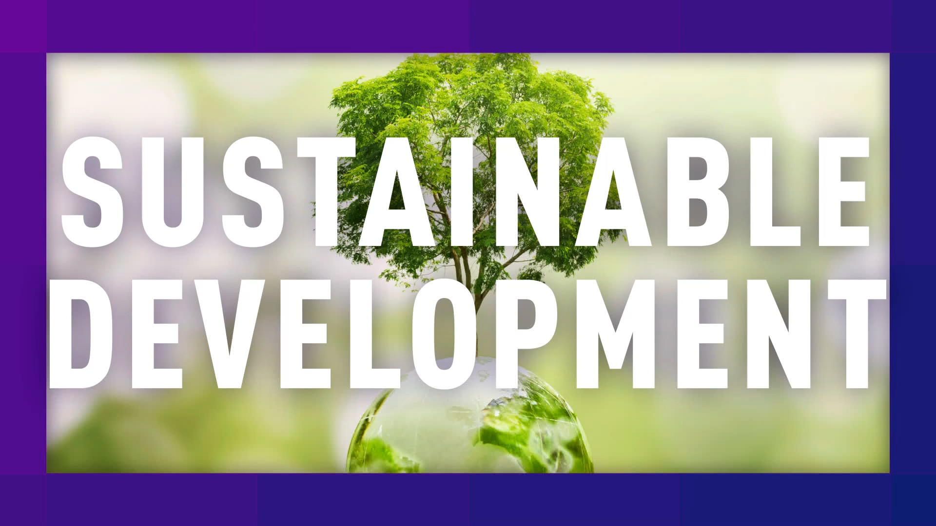 What is sustainability?