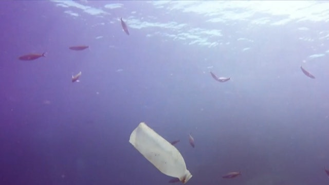 What happens to plastics in oceans?